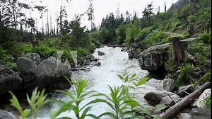 Peaceful and Slow Stream of Mountain River