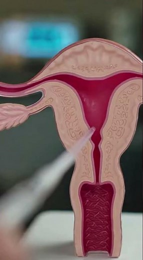 How IVF Actually Happens | Inside Modern Fertility Science