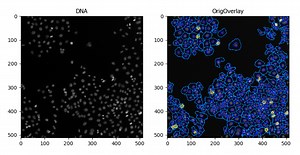 【KNIME】CellProfilerの画像解析結果を可視化する - t_kahi’s blog