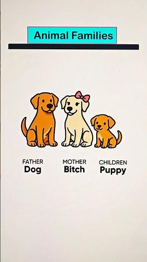 🐕 Animal Families – Father Dog | Mother | Children Puppy | Learn Animal Names