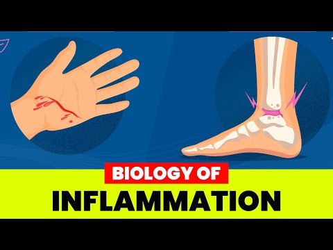 Biology of Inflammation