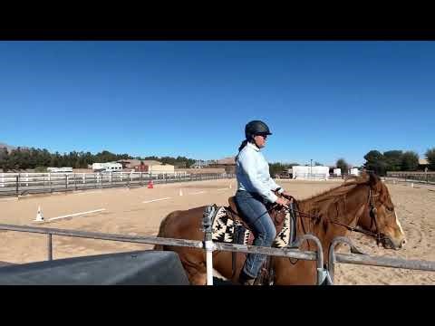 WDAA Basic Level Test 2 - Aubree Englert