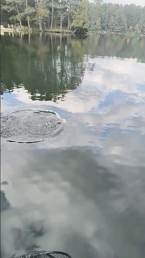 Giant Musky Attack!!#musky #muskyfishing #shorts