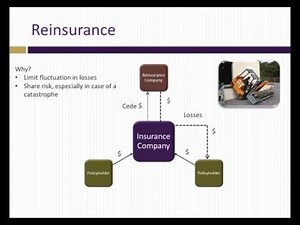 Analysis of insurance companies