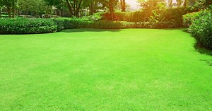 Keep Bermuda grass at bay with these lawn care strategies