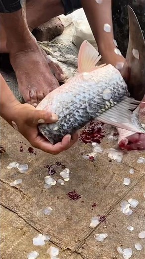 World's Fastest Fish Cutting Skills! #fastestfish #seafood #filleting!