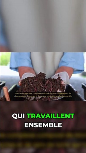 Le compost : un écosystème complexe et précieux ! #jardin #astuce#compost