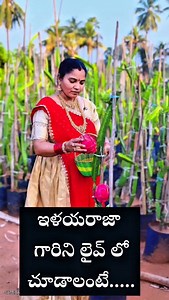 146K views · 791 reactions | ✨ Musical Maestro Ilayaraja Live in...