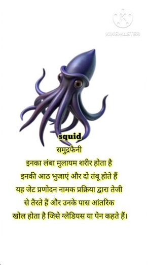 "sea animals name ", sea animals name with fact#facts #animals #seaanimals