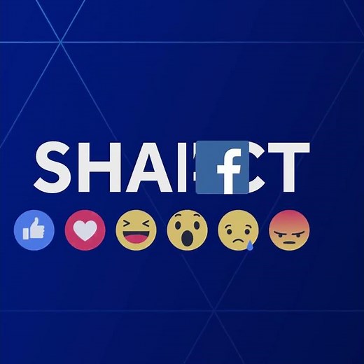 Adorable video shows baby manatees being bottle fed