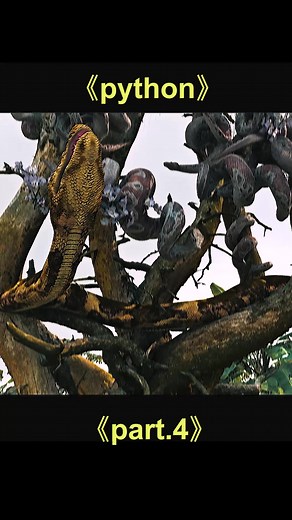 Python #movie | python