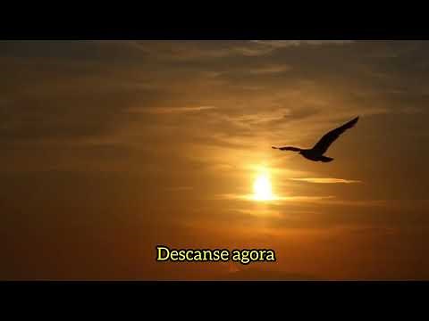 Gladiador - Now We Are Free - (Tradução/Letra)