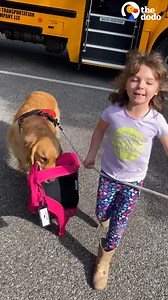 These dogs take their babysitting job VERY seriously | The Dodo