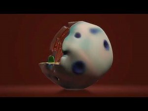 ACIDE RIBONUCLÉIQUE (ARN)