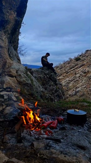 Cooking Meat Over Campfire in Nature | Solo Off Grid Camping | Relaxing ASMR
