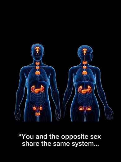 “Male vs Female Endocrine System — Same Organs, Different Power”#endocrinesystem