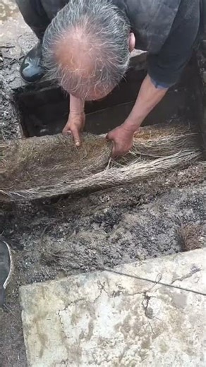 Sewer Root Clog Fix #PlumbingTips #HomeHacks