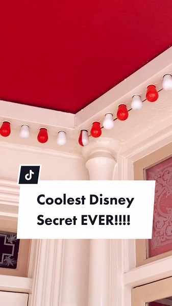 Exploring Disneyland's Best Kept Secrets!