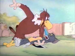 Tom and Jerry - Playing with an eagle