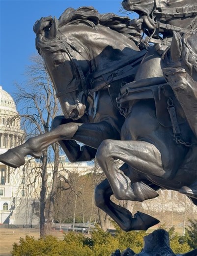SAMMY on Instagram: "In my own world🌎👸🏻 @FashionNovaCurve “All in love lace mini dress” “Alex faux fur coat” “Veronica woven handbag” “The glass slipper”"