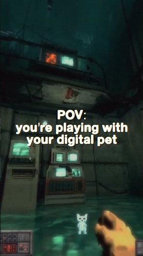 Lifecycle of Software Objects