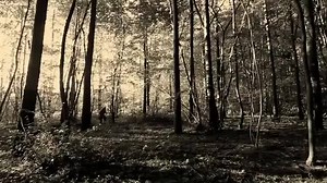 3.8K views · 70 reactions | The most ridiculous archery skills you'll ever see. | PBH2 | Facebook