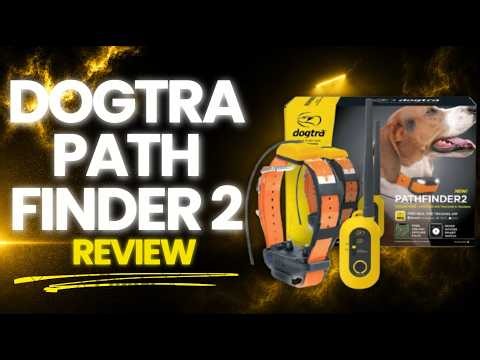Dogtra Pathfinder 2 Setup Guide & Review: Best GPS Dog Tracking Collar for Outdoor Adventures?