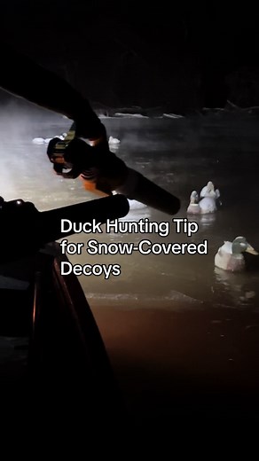 With temperatures in the single digits, dunking snow-covered decoys results in them icing over. We’ve found the most effective approach is usually using leaf blowers, especially in dry snow conditions. What’s your go-to method? #finalflightoutfitters #faithfamilyoutdoors #ffohunt #duckhunting #duckseason #duckseason2023 #duckhuntingseason #waterfowlhunting #huntingseason #waterfowlhunter