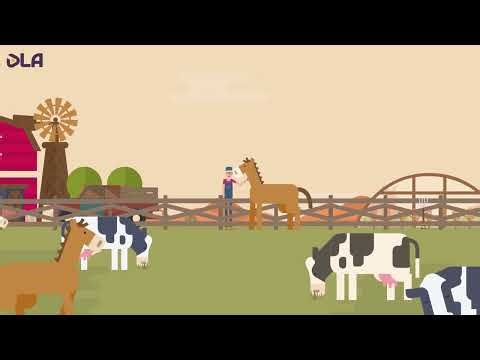 Farming | Animated Video | Digitallife Animation