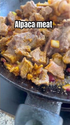 Cooking Alpaca Meat