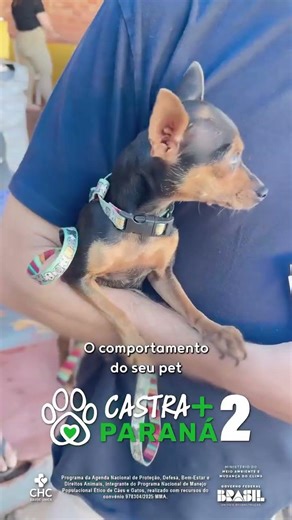 Free spaying and neutering makes a difference in the lives of those who care for animals.