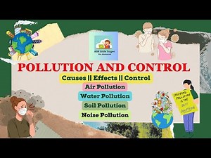 Presentation on 4 major types of pollution | Causes | Effects | Control