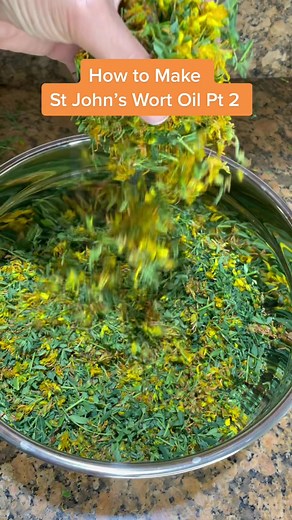 How to Make St John's Wort Oil: Step-by-Step Guide