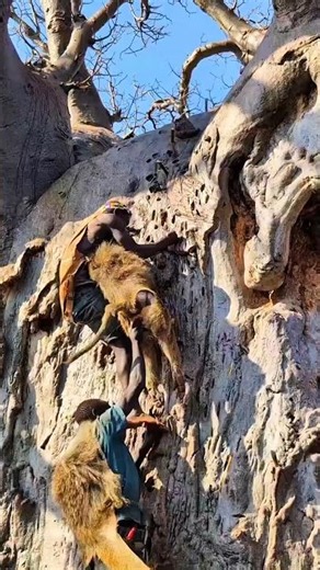 🔥 Into the Wild! Chaaba's Massive Monkey Hunt 🐒🌳