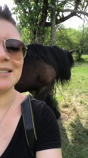 2 ans aujourd’hui que j’ai mon petit amour. 🖤 #foryou #pourtoi #cheval #cavaliere #chevaldetrait