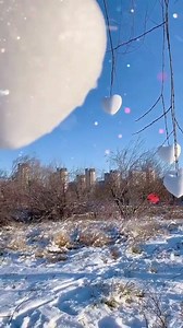 To take it a step further you can dye the snow different colors and make rainbow hearts on trees!🧡💛❤️💚💙 🛒Snowball Toy: https://bit.ly/2PeECuh ⚡️Use code: GADFAN1 get $4 OFF when order $10 #dhgate #snowball #snow #snowbattle | Gadgets