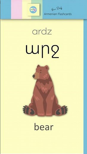 Listen & Learn Armenian: Արջ [ arch ] – Bear | Audio Flashcards