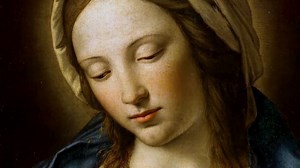 14K views · 1.9K reactions | The Bible and the Virgin Mary, part of...