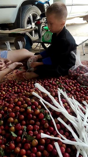 Luj txiv mus xa | Huab Cua Muas