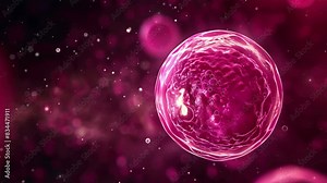 Tumor microenvironment concept with cancer cells, T-Cells, nanoparticles, cancer associated fibroblast layer of tumor microenvironment normal cells, molecules, and blood vessels 3d rendering, 4K