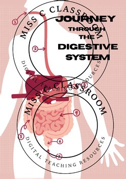 DIGESTIVE SYSTEM FILL IN THE BLANKS