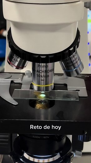 Descubre cosas sorprendentes bajo el microscopio en EduLabC