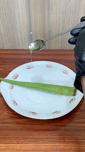 889K views · 7.7K reactions | Put Honey Over Aloe Vera | Recipes 4U | Facebook