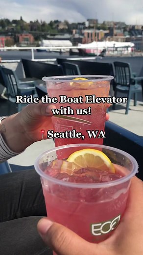 Venture beyond the Seattle waterfront and hop on our 2-hour Locks Cruise! 😎
