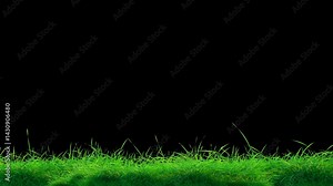 Gentle looping grass swing animation on transparent alpha background