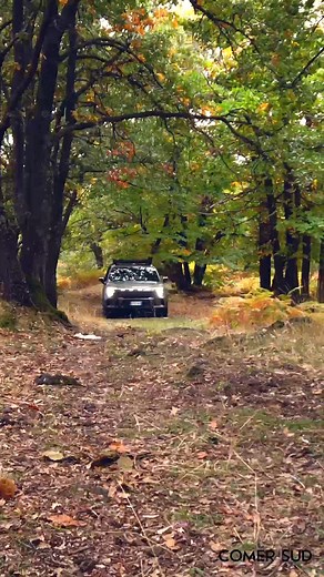 5.6K views | smart #5 Summit Edition: l'avventura è On-Demand. ⚡️...