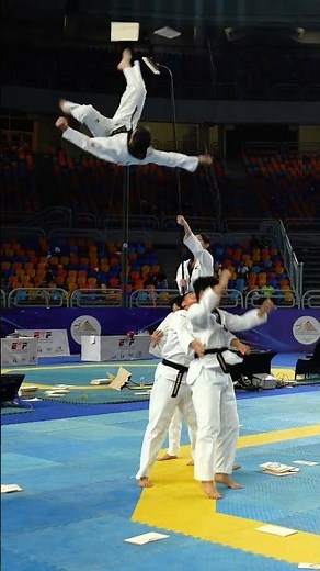 국기원 태권도시범단 하이라이트🎥