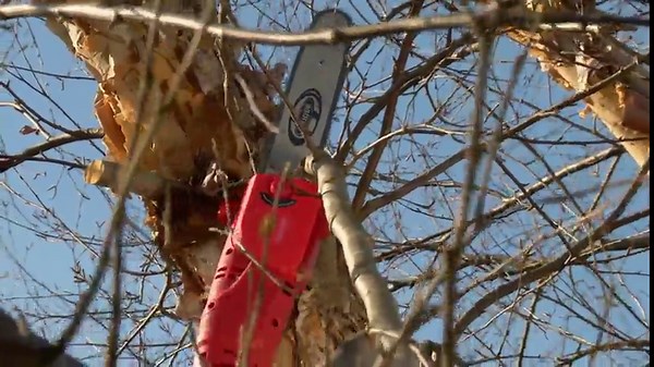 Sun Joe 10 inch 8.0 Amp Electric Multi-Angle Pole Chain Saw, SWJ803E-PRP, Purple