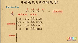 2.2.5 氯及其化合物复习1