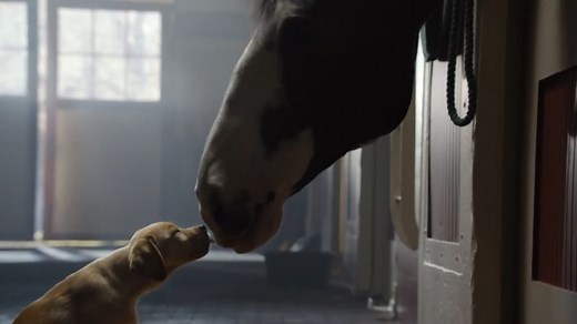 Here are some of Budweiser's best Super Bowl ads ever